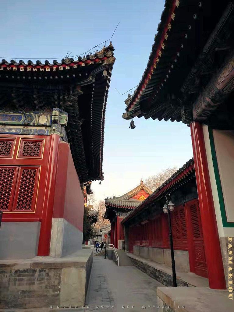 2023 02 05  PEKIN - WANSHOU TEMPLE LONGEVITE BIENVEILLANCE (21).jpg